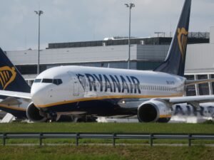 Escándalo en el aire: subió borracho al avión, discutió con su pareja, intento atacar a un policía y recibió una feroz paliza