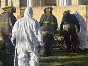 Descubren el cuerpo de una mujer enterrado en el fondo de su casa luego de que su hijo confesara que la asesinó