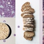 Fibra, el combustible de la microbiota: por qué es mejor consumir más de un tipo y aumentar su ingesta de a poco