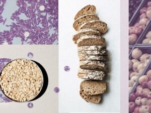 Fibra, el combustible de la microbiota: por qué es mejor consumir más de un tipo y aumentar su ingesta de a poco