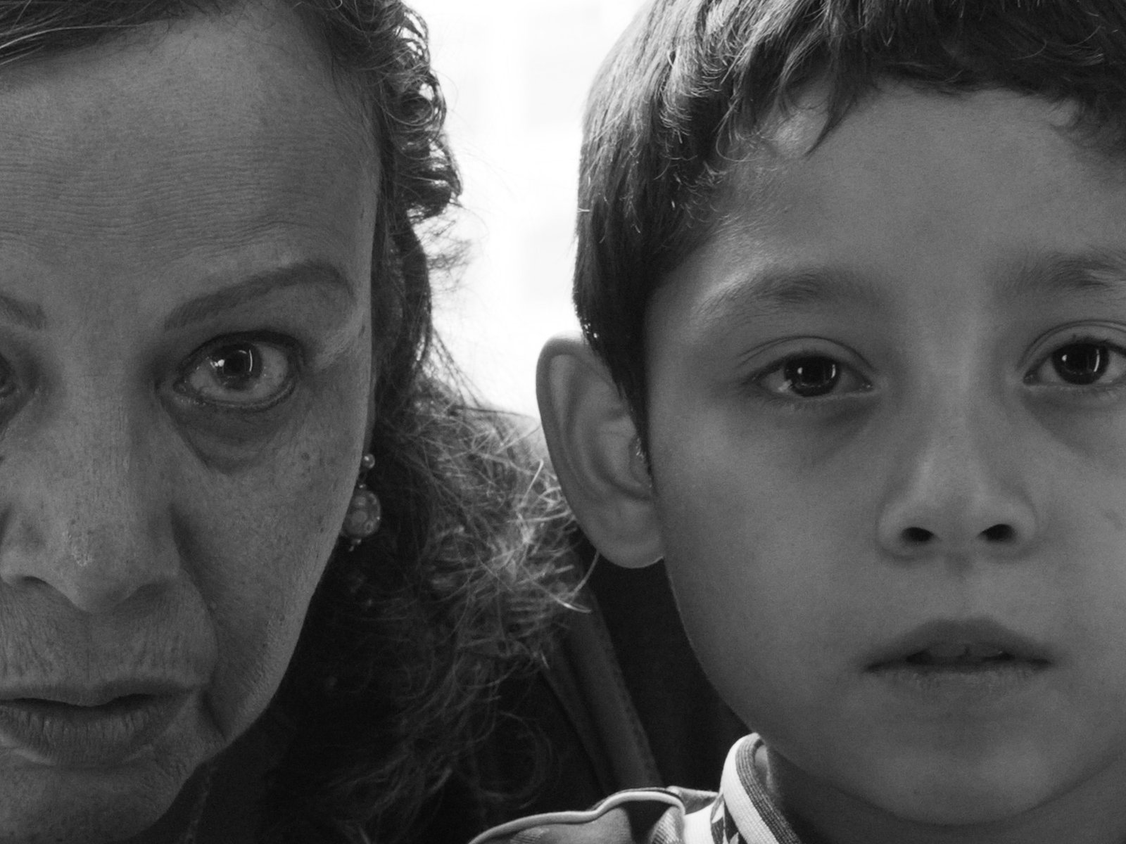 Moscas, la película que hay que buscar, y ver, para no arrepentirse