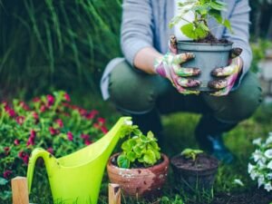 Cómo hacer la poda anual para tener plantas frondosas con más flores durante toda la temporada