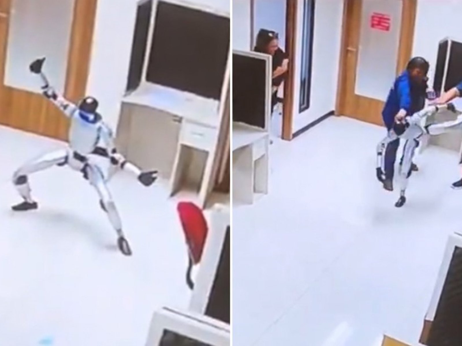 Filmaron a un robot humanoide que se rebeló y atacó con golpes de kung fu a unos oficinistas