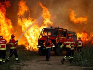 Ola de calor en Europa: el fuego destruyó miles de hectáreas de bosque y advierten que la temporada de incendios “va a ser larga”