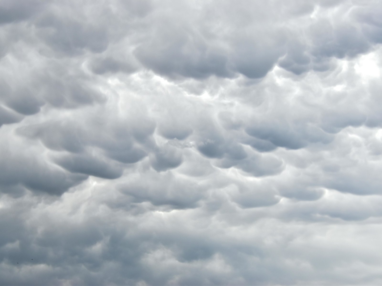 Clima hoy en Punta Lara, Buenos Aires: el pronóstico del tiempo para este miércoles 8 julio de 2026