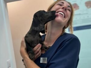 Claudia Reyes, experta en animales: “Hay 3 mitos sobre mascotas que no son verdad. El tener una camada no aporta ningún beneficio para la salud”
