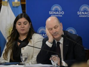Desalojo exprés, expropiaciones y ley de manejo del fuego: los puntos que quedaron del proyecto de propiedad privada