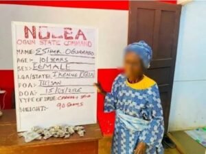 Detuvieron a una bisabuela de 101 años por venta ilegal de marihuana