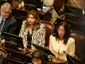 En medio de las críticas al proyecto oficial, el Senado debate la creación de una comisión por Malvinas