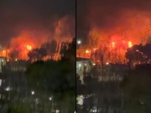Voraz incendio en el puerto de Olivos: los bomberos combatieron llamas de gran altura