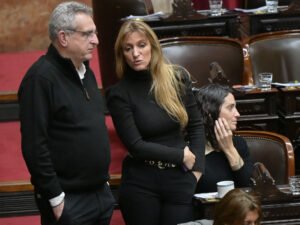 Opositores impugnan el programa de ciudadanía argentina: aseguran que es el “plan B” para la venta de tierra a extranjeros
