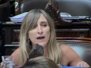 Una diputada libertaria propuso suspender los sueldos de los diputados que insulten en el Congreso
